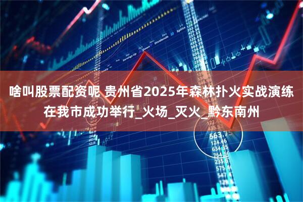 啥叫股票配资呢 贵州省2025年森林扑火实战演练在我市成功举行_火场_灭火_黔东南州