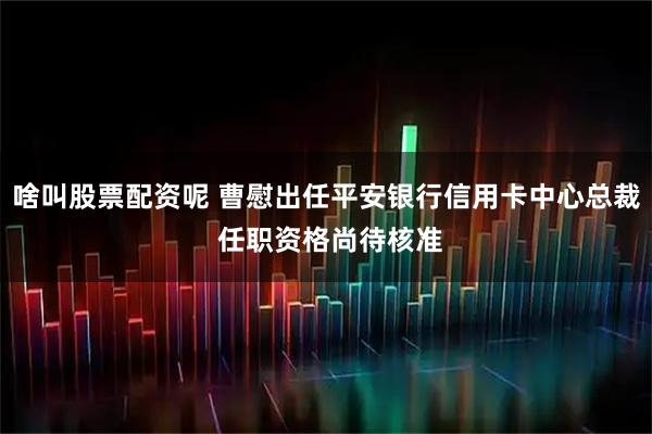 啥叫股票配资呢 曹慰出任平安银行信用卡中心总裁 任职资格尚待核准